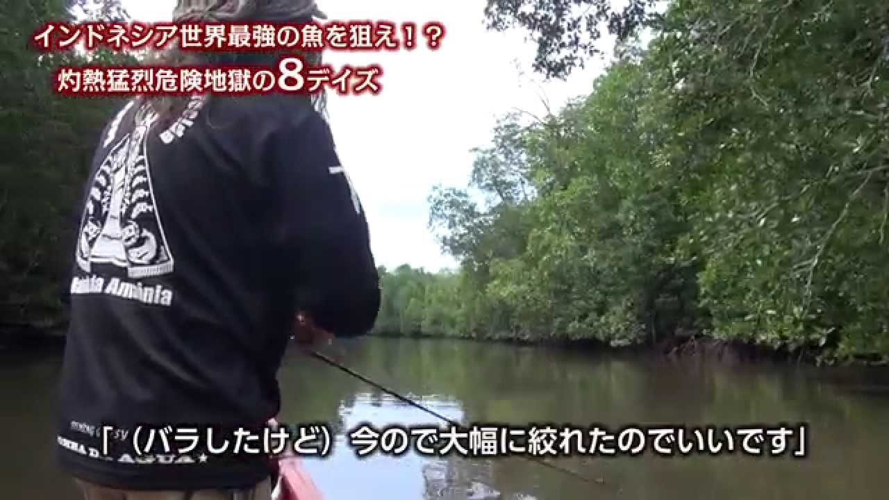 インドネシア地獄の8日間　パプアンバス 第二波