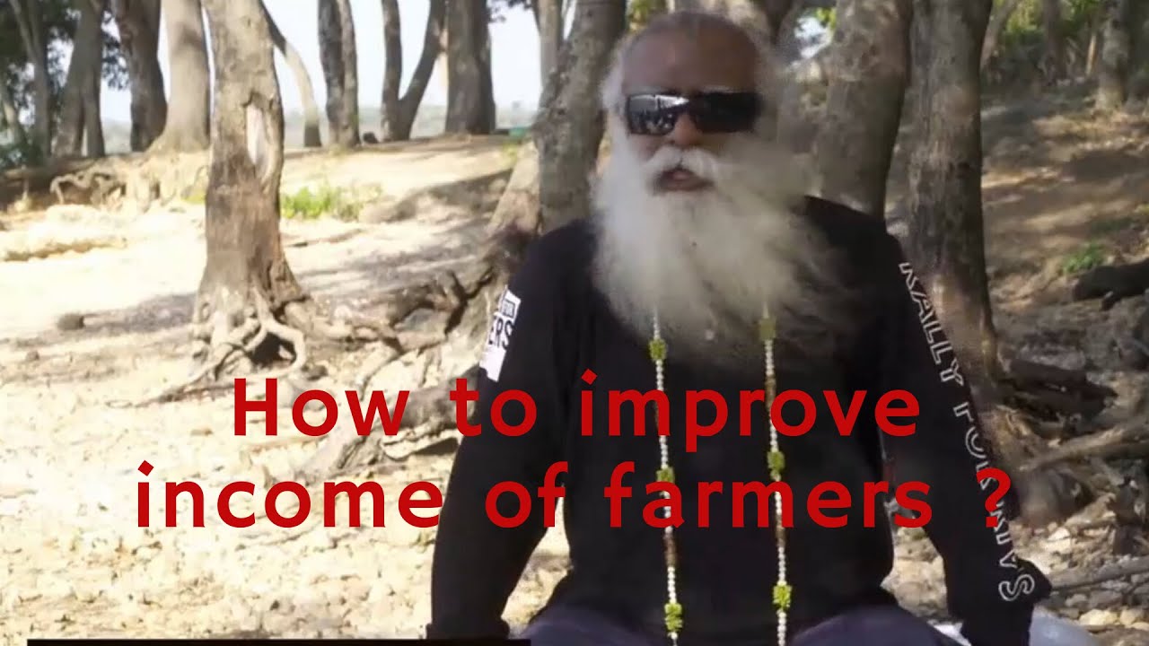 How to improve income of farmers in India ?