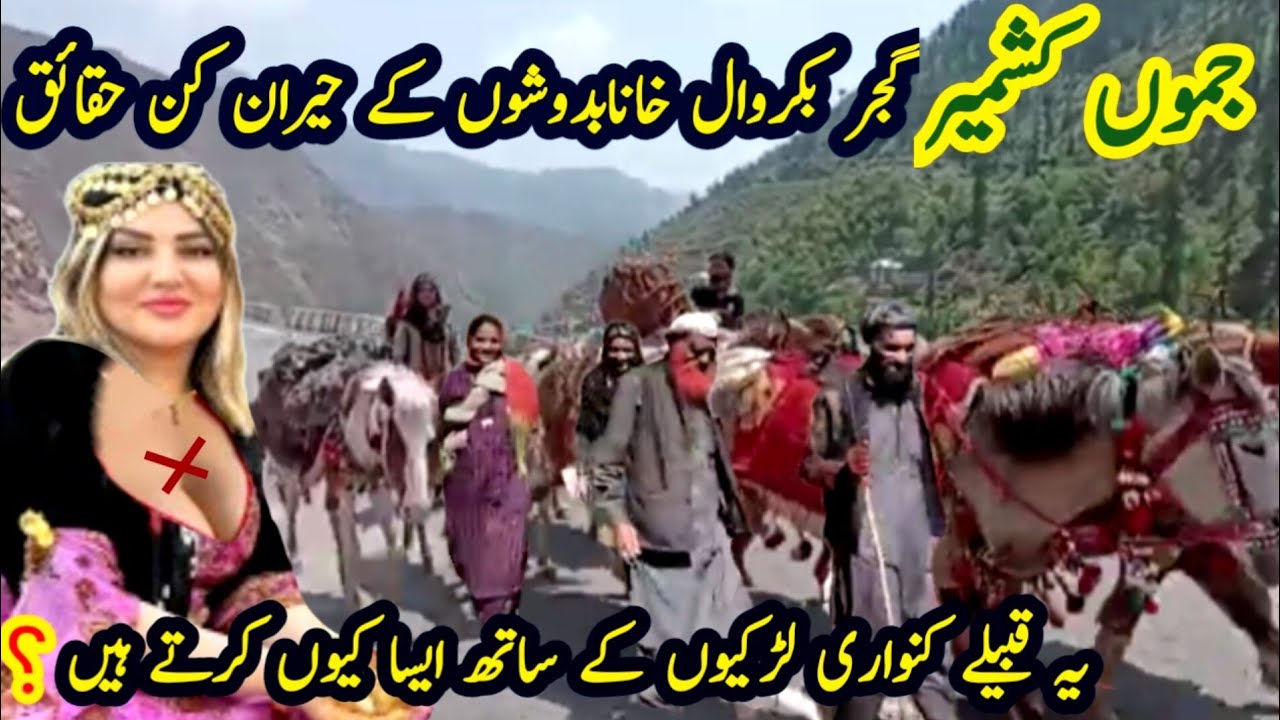 Life of Gujjar Bakarwal documentary | Tribes of Himalayas | The Bakarwals of Jammu & Kashmir 