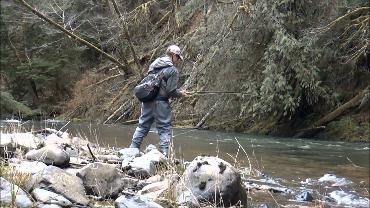 Fly Fishing For Winter Steelhead Oregon 2015   Video Clips