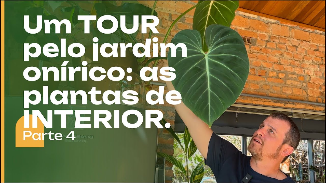 Um TOUR das PLANTAS de INTERIOR: a última parte do Tour do Jardim Onírico.