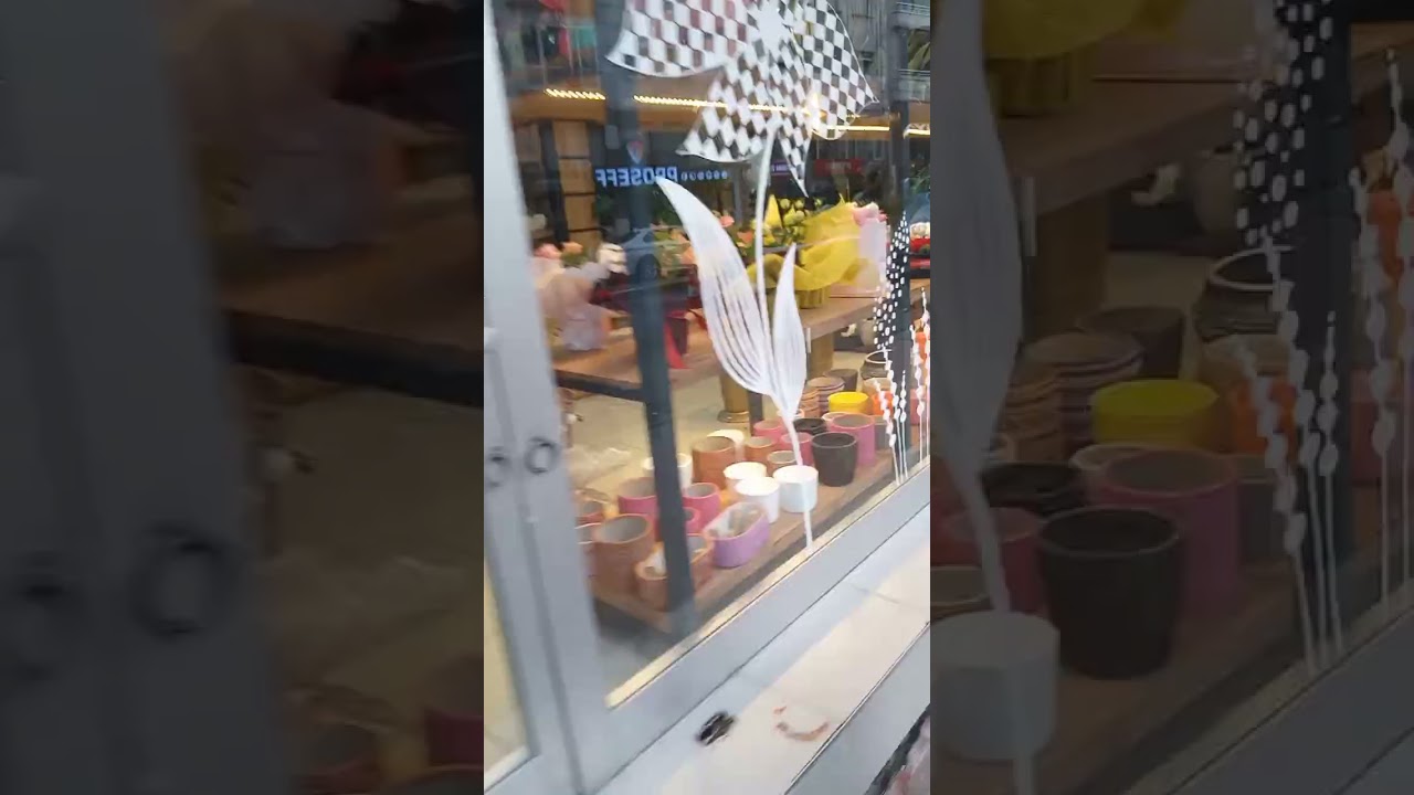 uzun vlog