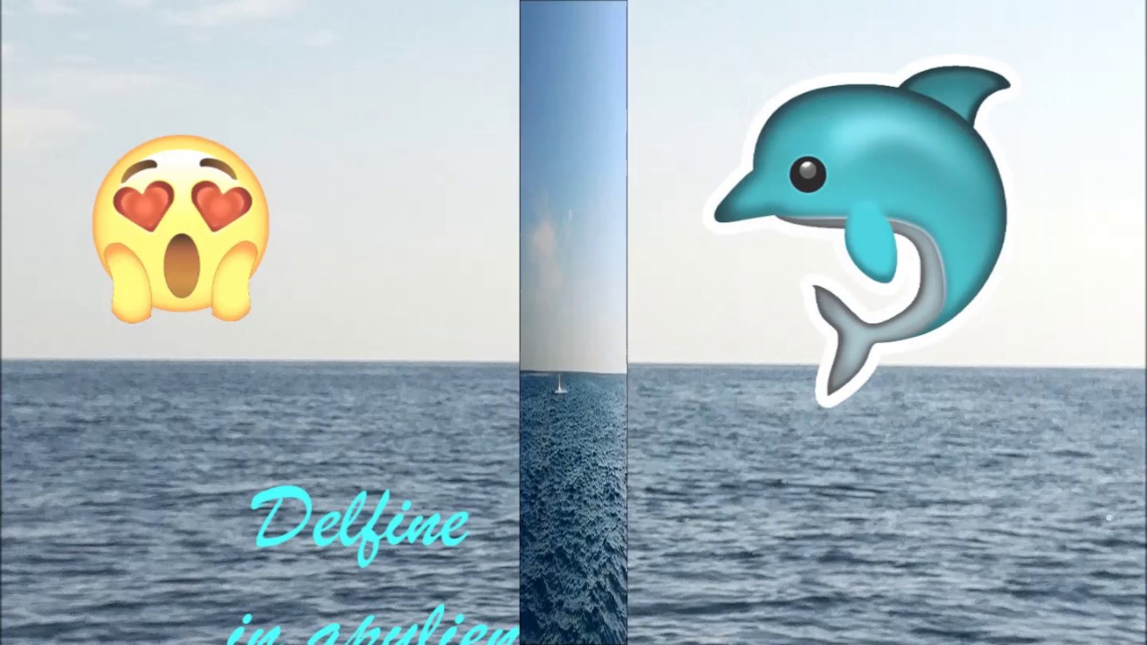 Delfine in Apulien