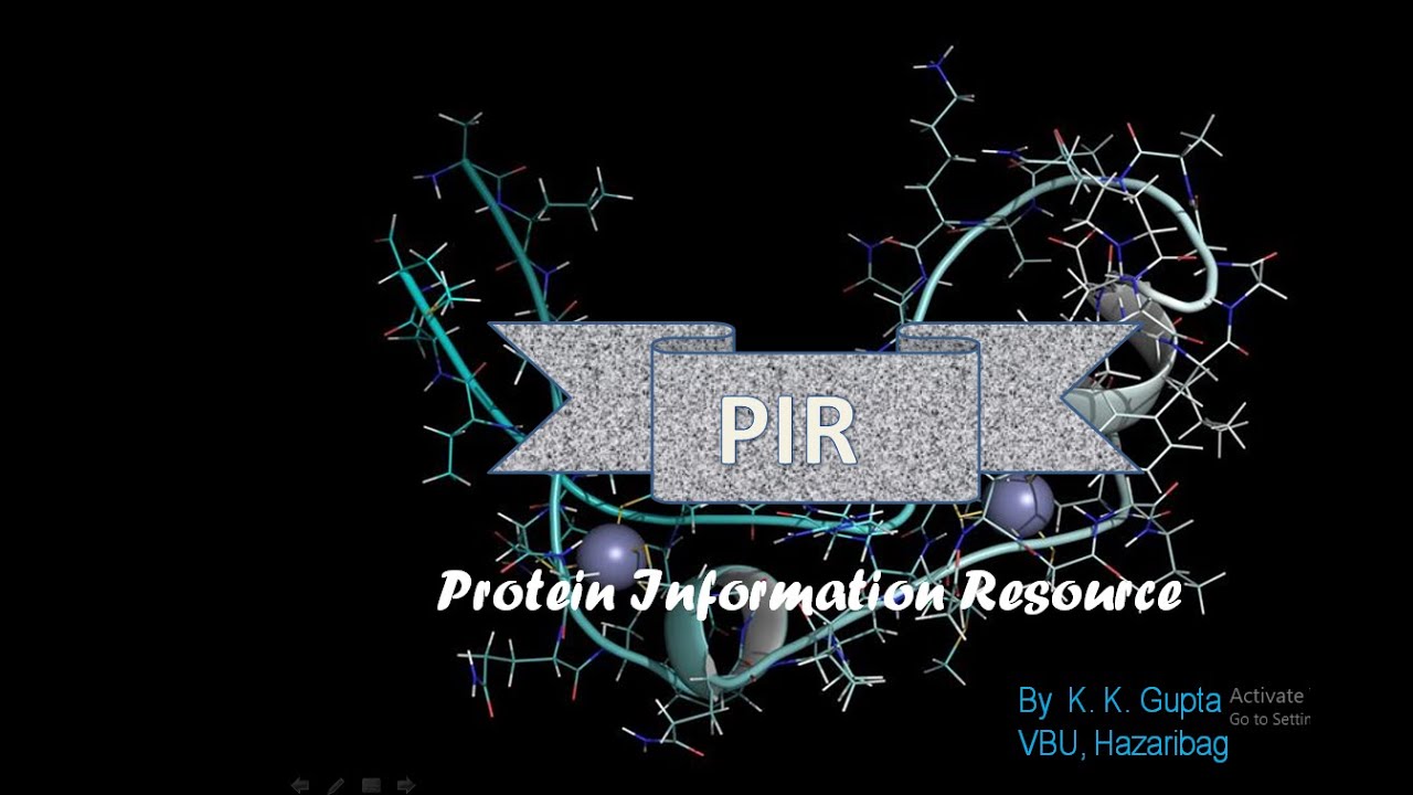 PIR