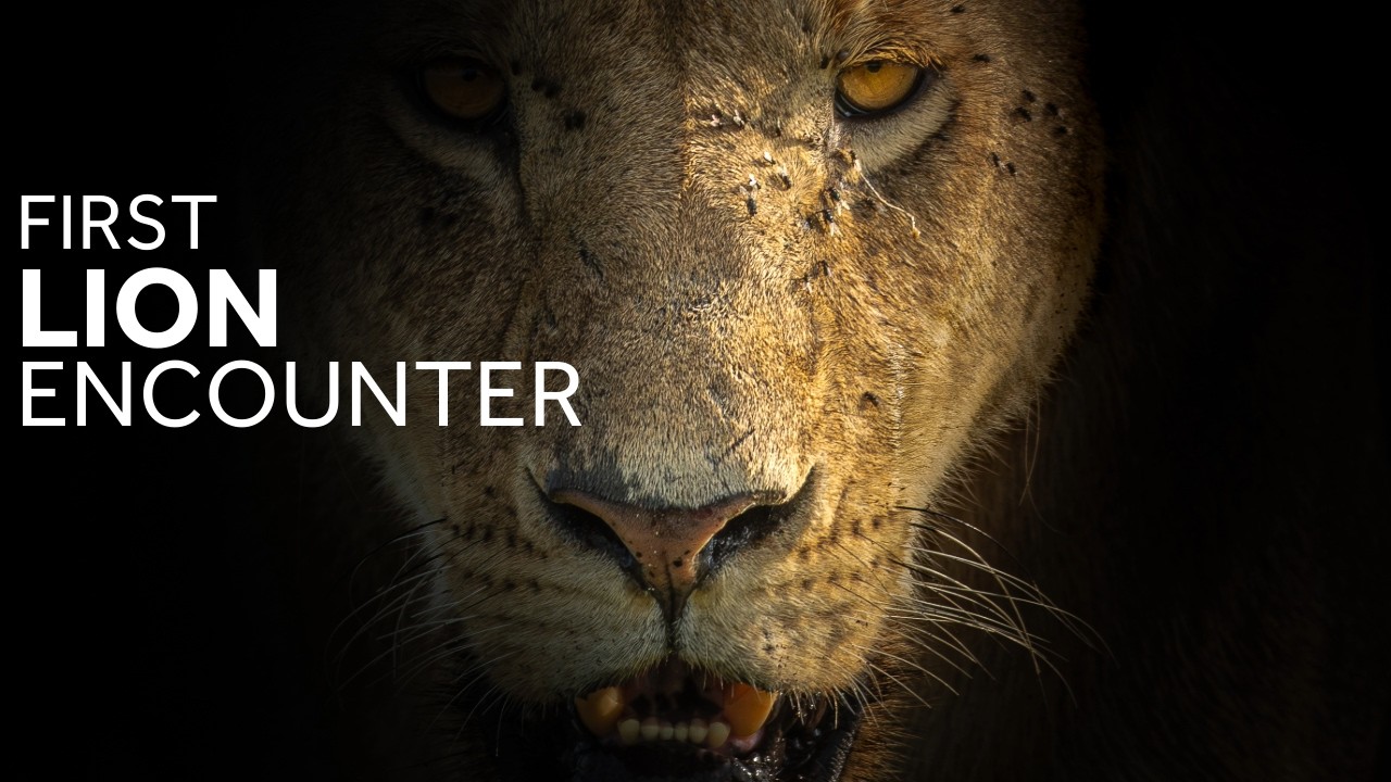 Wildlife Photography in Africa | Maasai Mara Through My Eyes Ep. 1 -  A Journey Begins