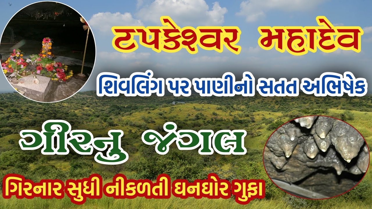 Tapkeshwar Mahadev | ટપકેશ્વર મહાદેવ | ગુફાની અંદર શિવલિંગ | #Tapkeshvar #Gir #Shiv #Mahadev