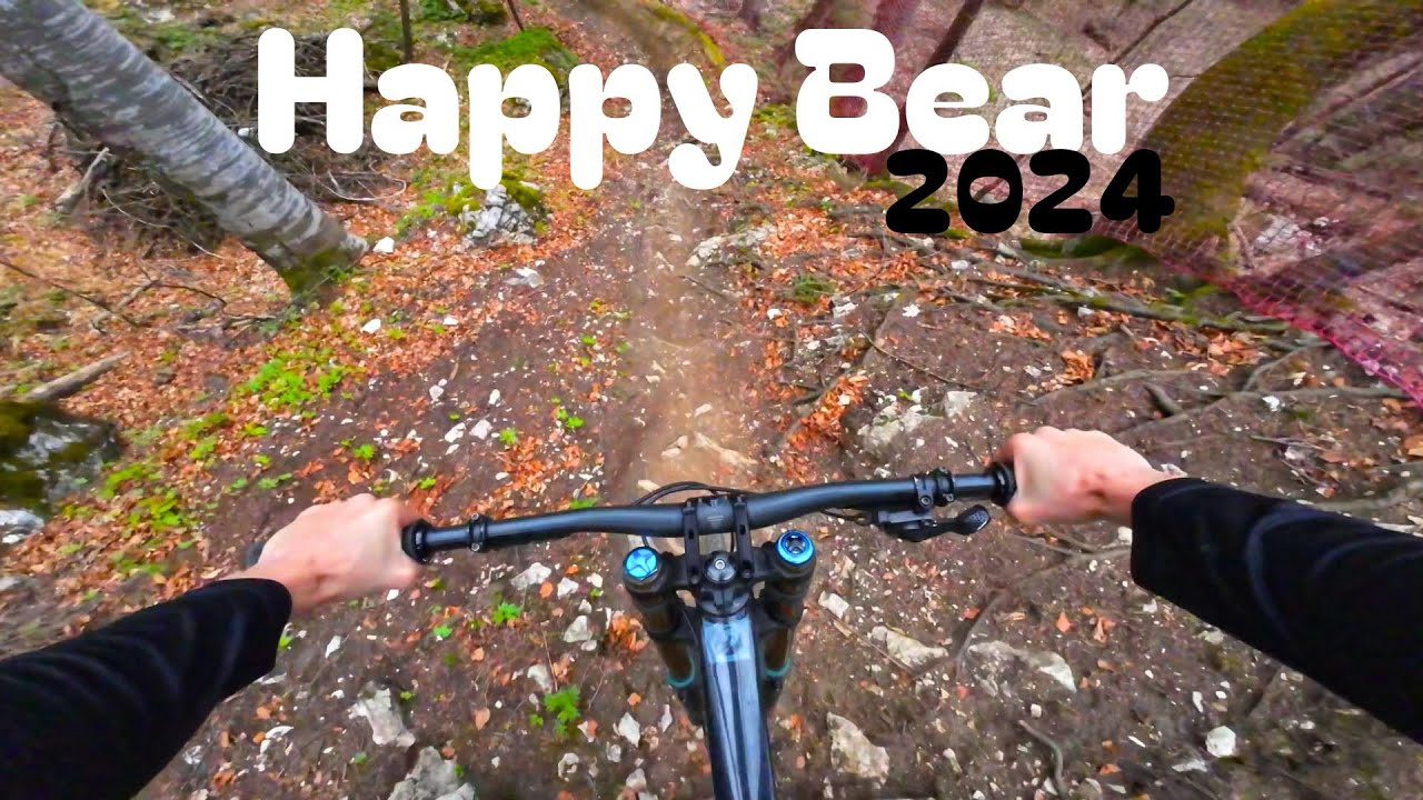 Happy bear Sinaia 2024