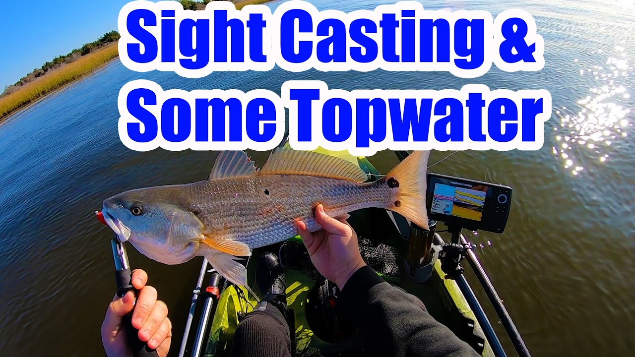 Sight Casting Some Redfish after a Cold Front