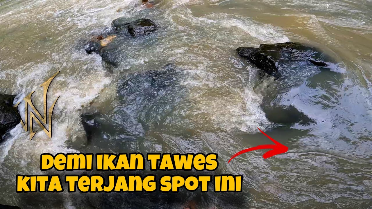 ‼️SERU‼️ MANCING IKAN TAWES DI SPOT SUNGAI AIR DERAS | MANCING LIARAN