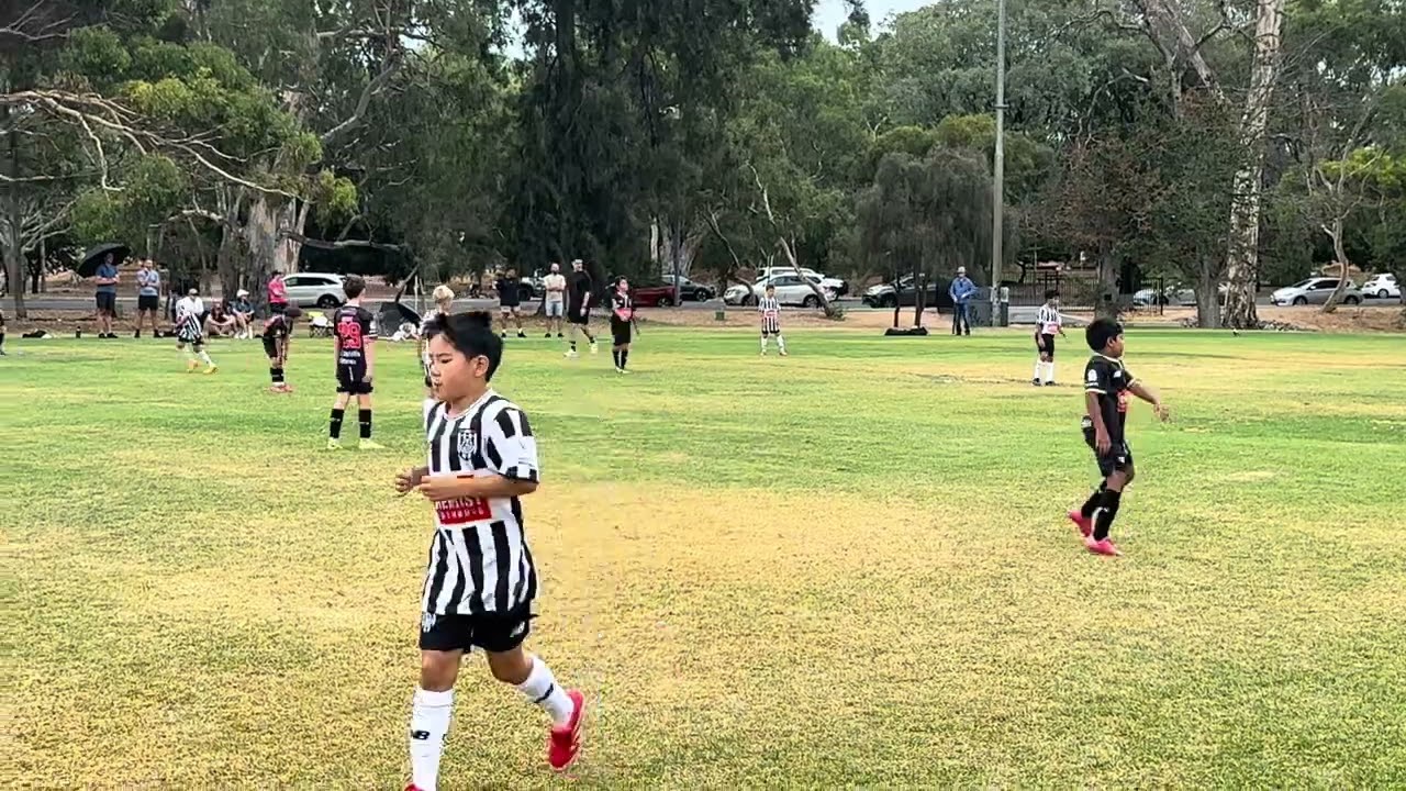 Adelaide City U10 Grey vs City U11 Black 2/2