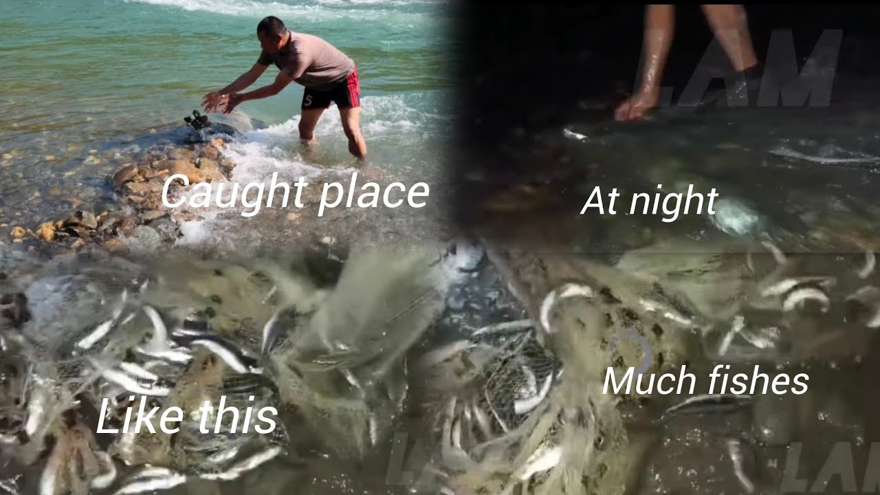 How to caught fish trap from net guide detail | only in January and February month🐟🙏