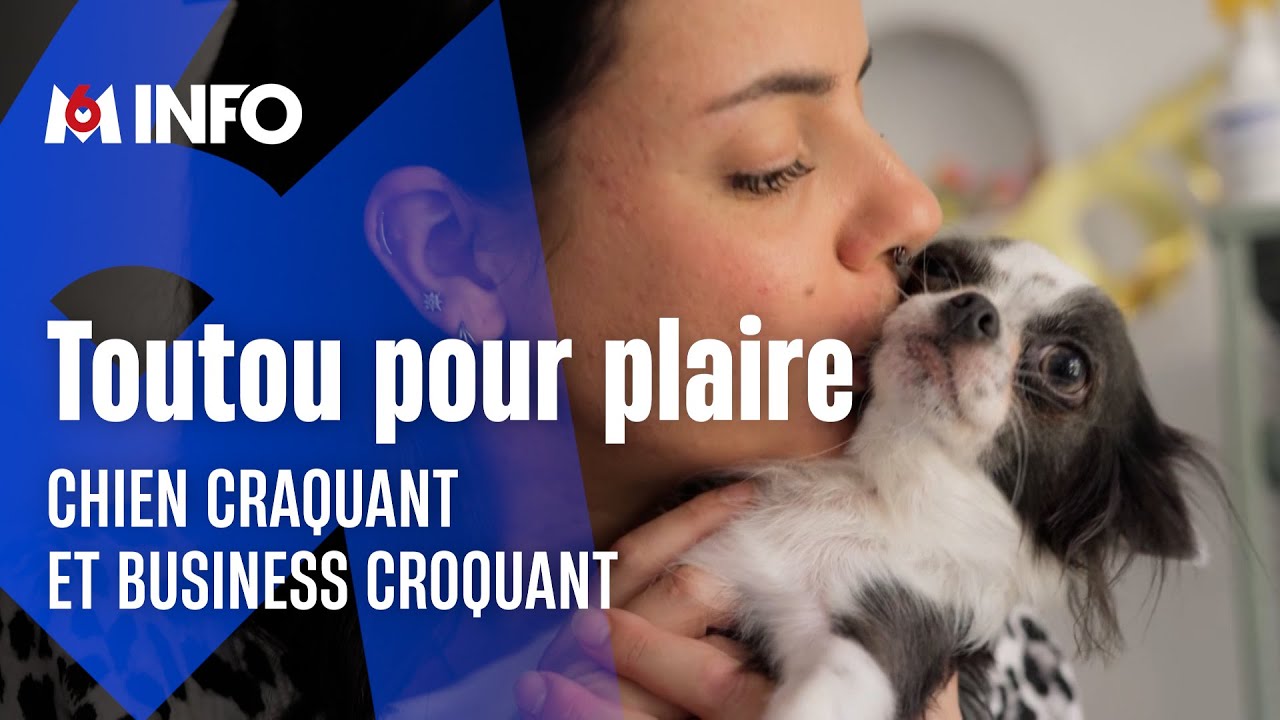 Le business des anniversaires pour chiens