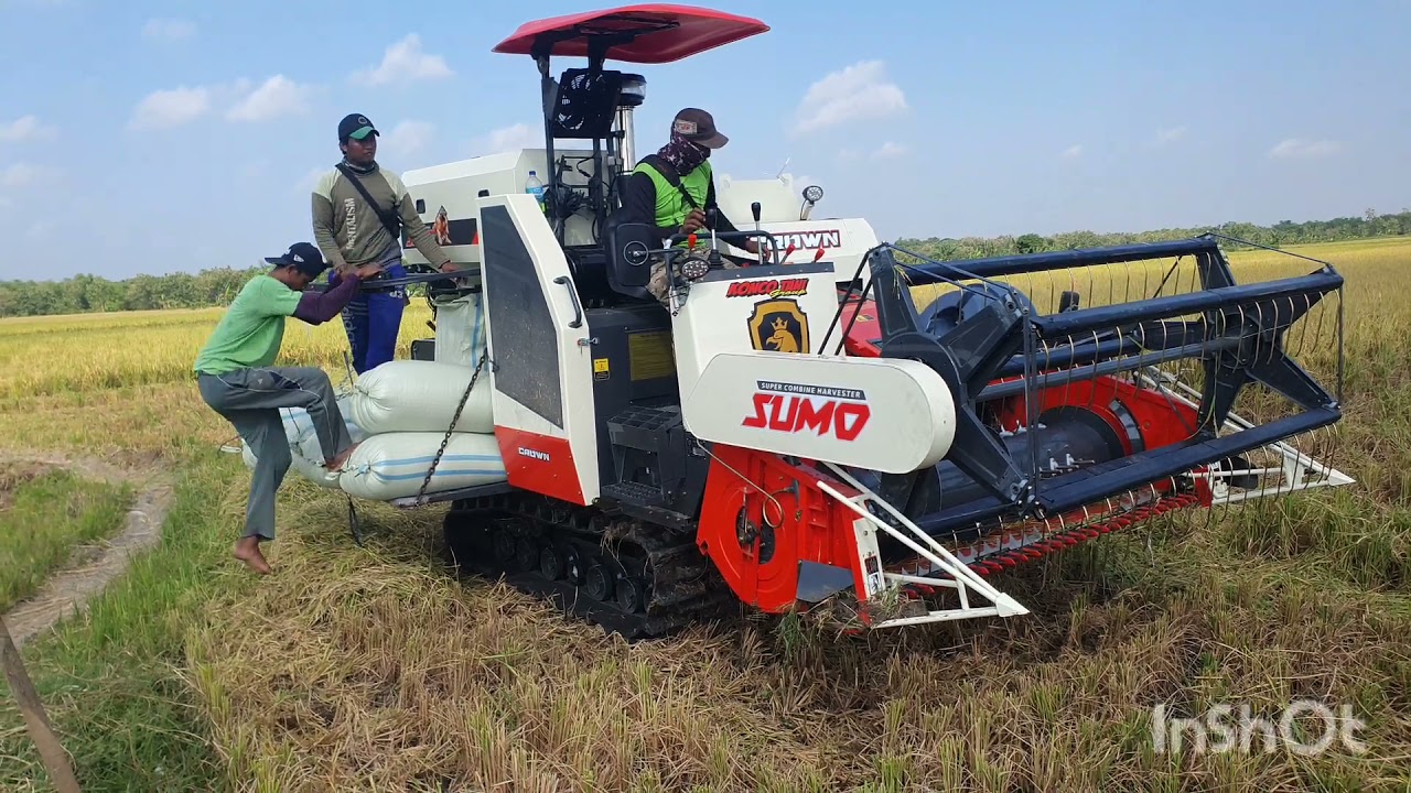 New Sumo 106 dari crown