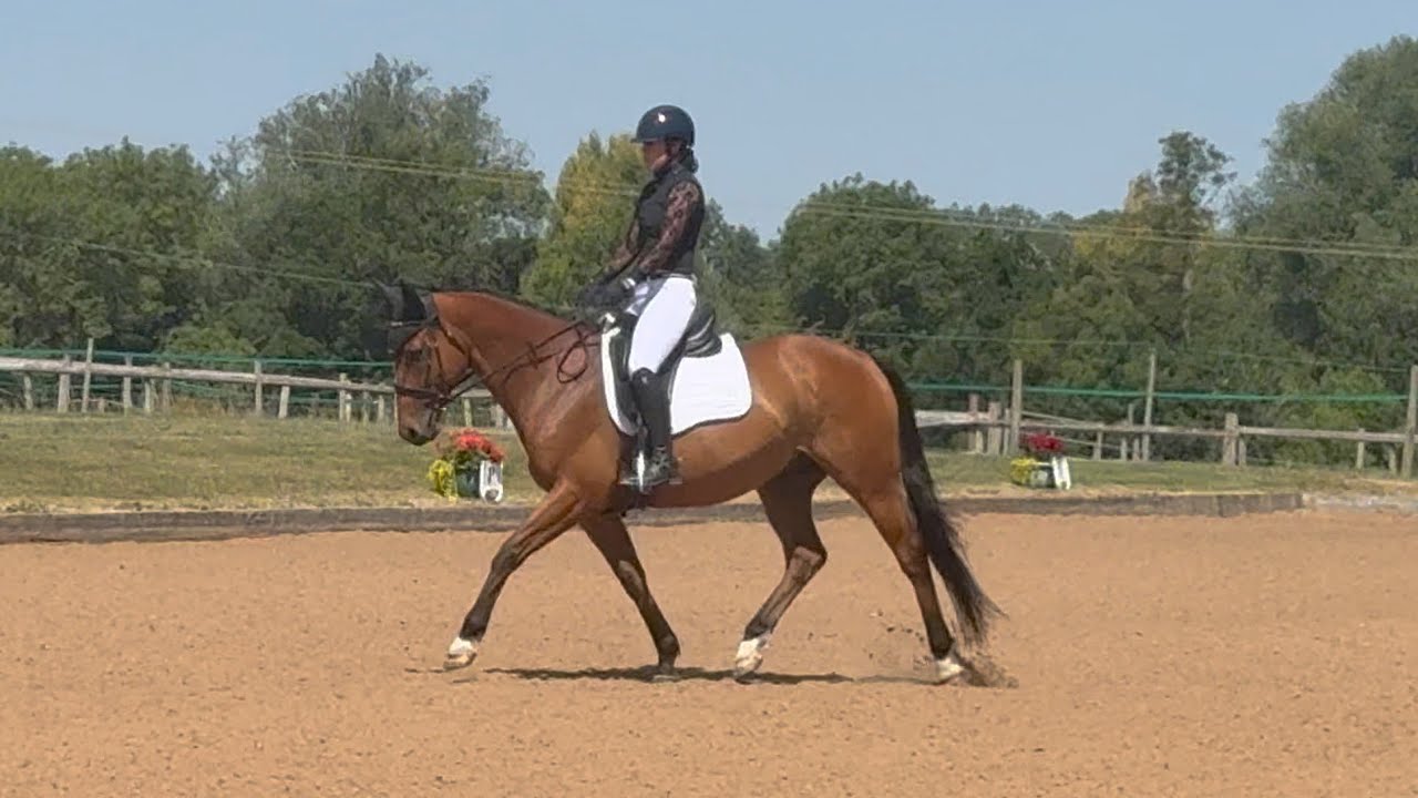BD AF - Burrows Court - Novice Silver Freestyle 11.7.25 68.2% (68.89%, 68.33%, 67.50%) 