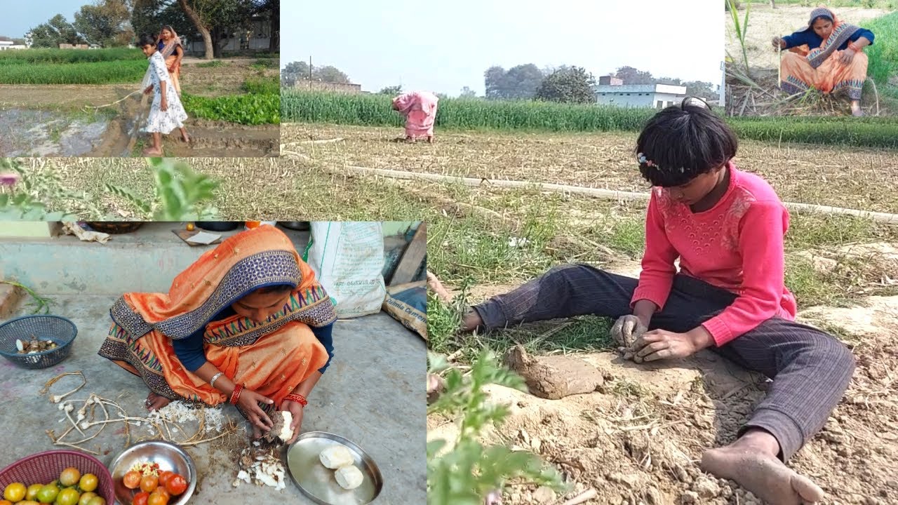 कुछ सब्जियाँ खेतोँ में ही स्टोर हो जाते हैँ TODAY MY DAILY FARMER LIFE|VILLAGE DAILY DINNER ROUTINE