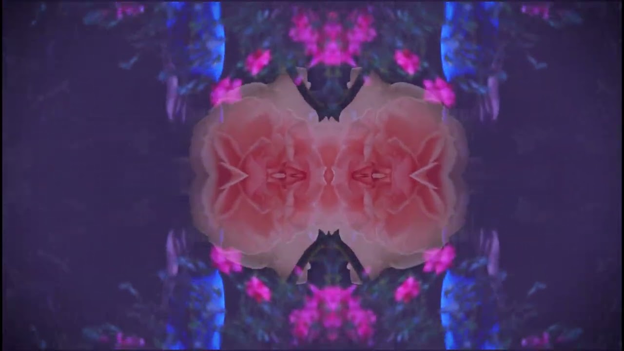 Wuthering Heights (Unofficial Music Video)