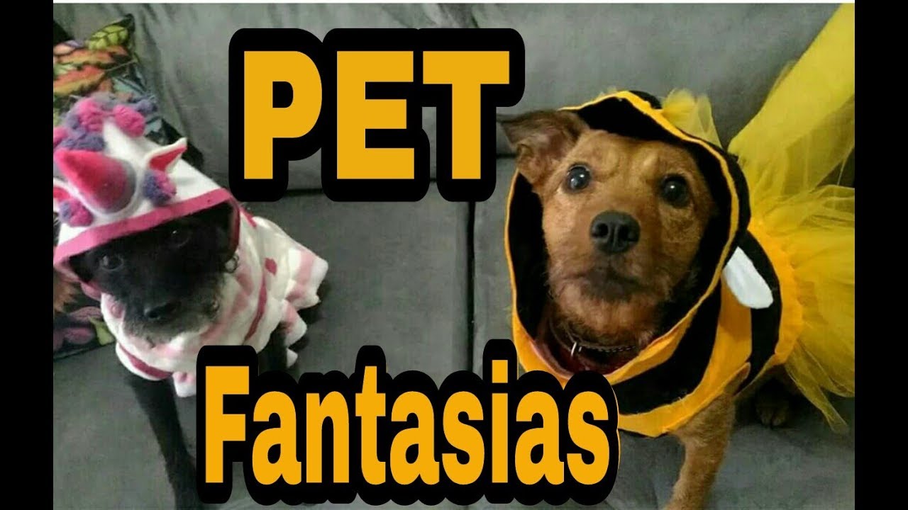 DIY- como fazer fantasias para cachorro com roupinhas velhas