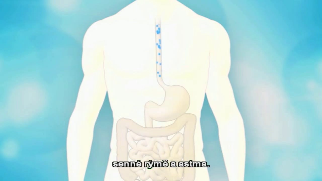 Revolučn&iacute; Probiotikum Probiotic 12