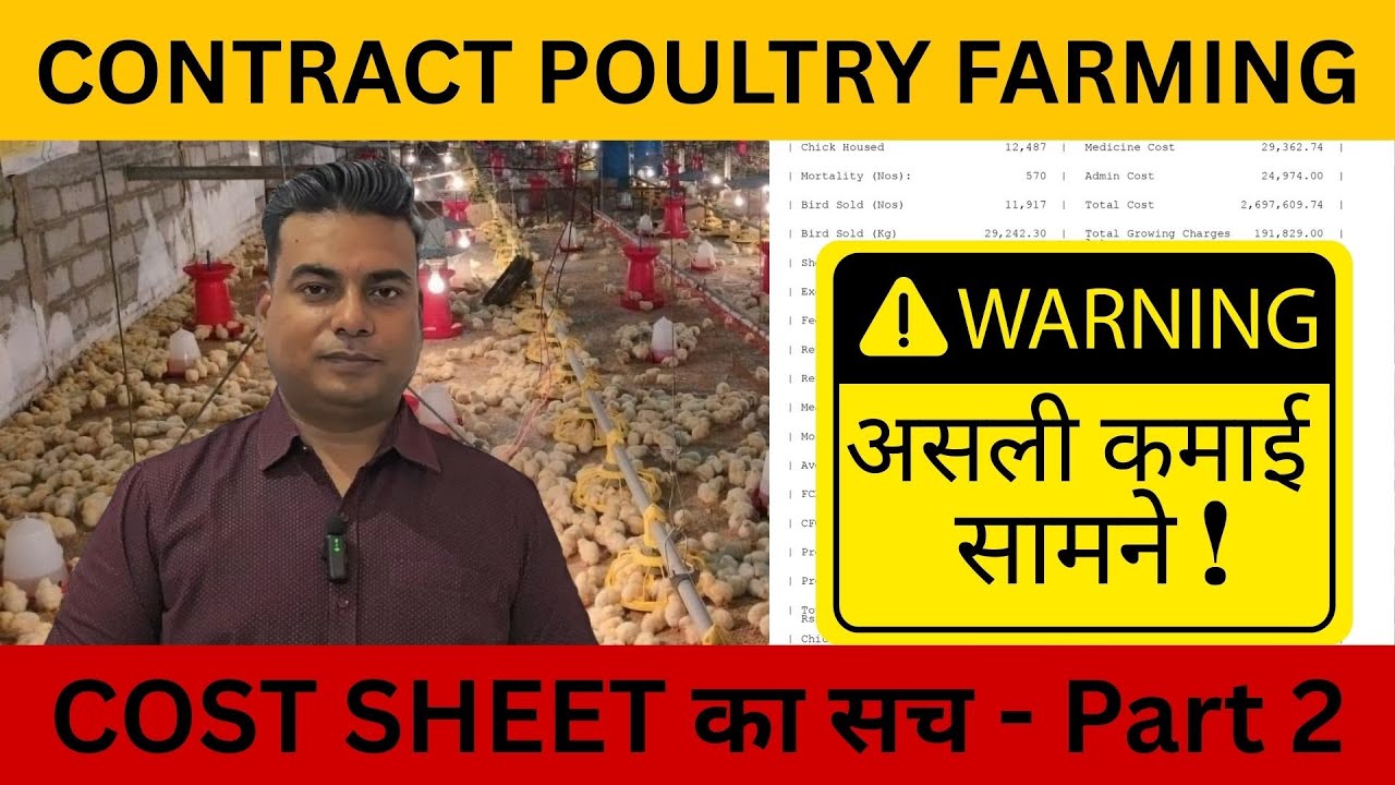 असली कमाई सामने ✅| यही है कॉन्ट्रैक्ट मुर्गी पालन का सच! | Contract Poultry Farming - Final Income