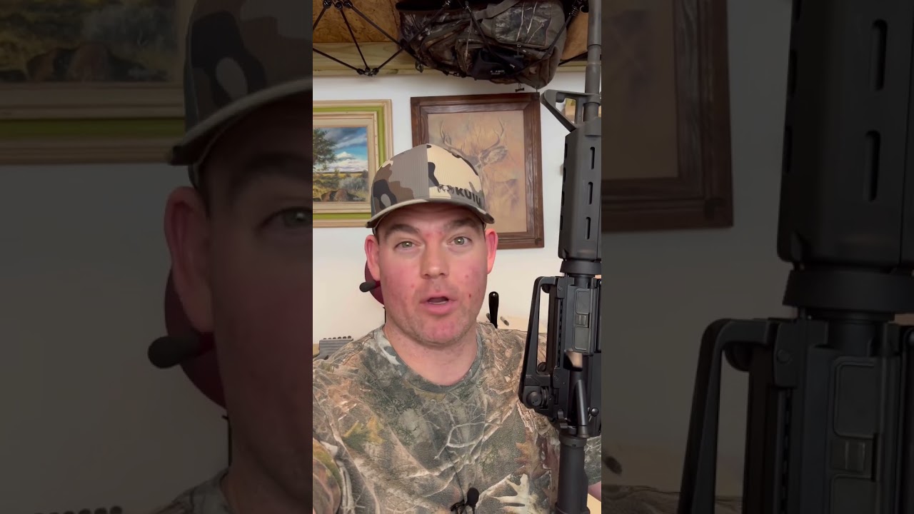 AR-15 против АК-47: в чем разница?