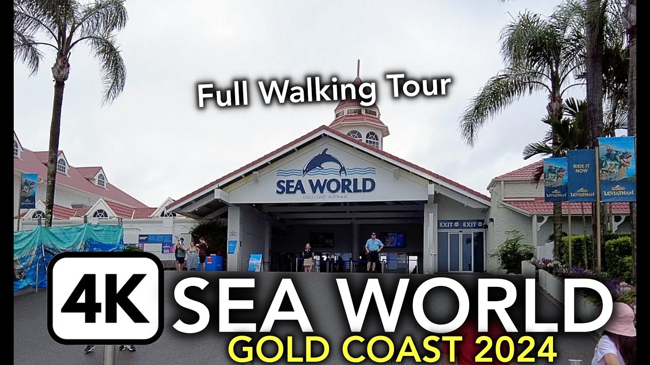 4K Sea World Gold Coast 2024 | Full Theme Park Walkthrough | Gold Coast, Australia