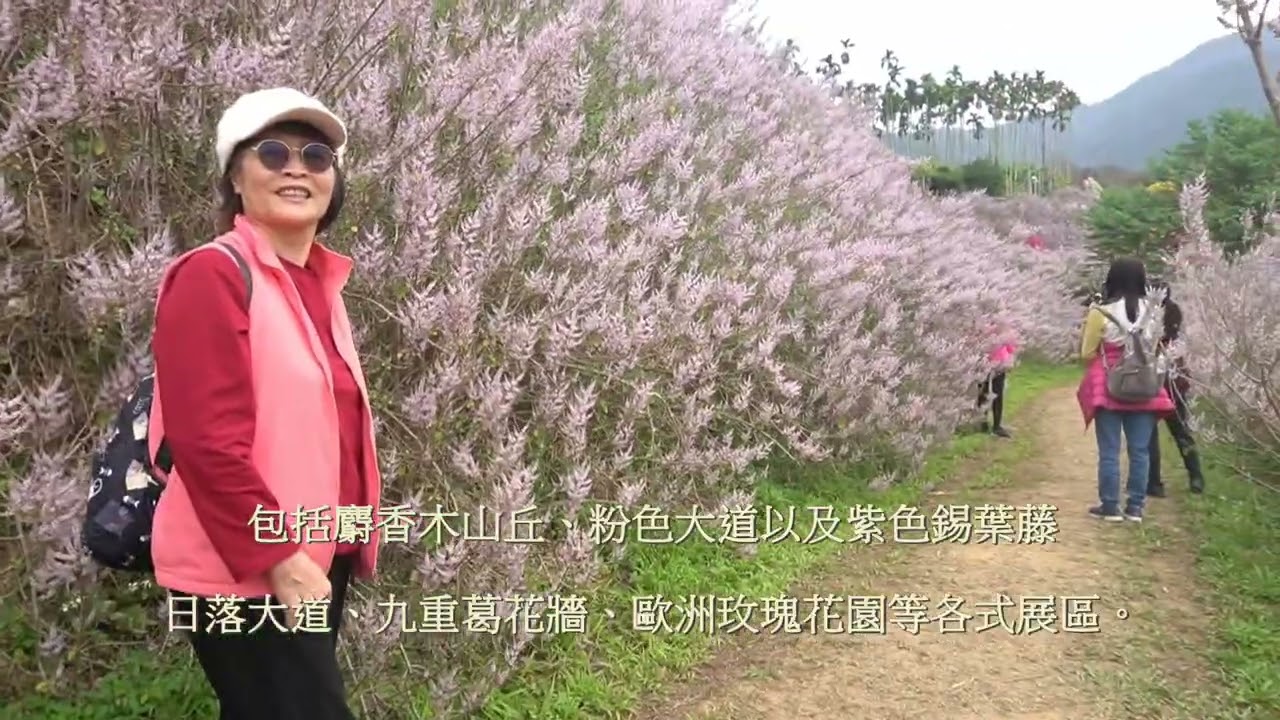 115 2 24 南投中寮粉紅山丘麝香木1日遊
