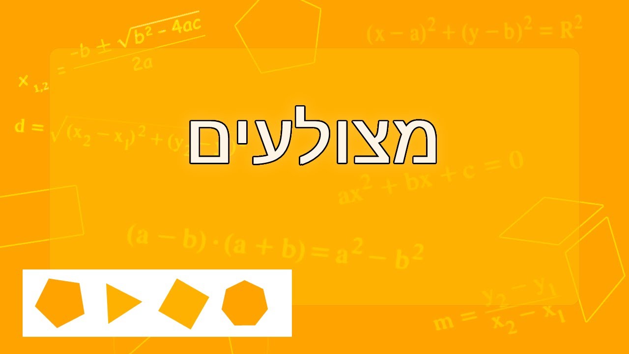 מצולעים - היכרות עם משפחות המצולעים