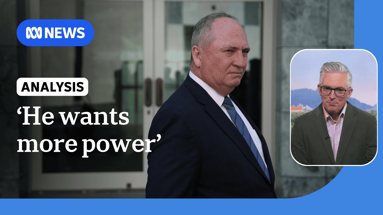 'He wants more power and relevance': David Speers on Barnaby Joyce quitting the Nationals | ABC NEWS