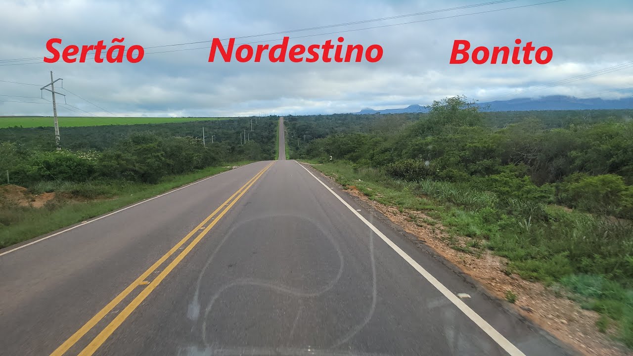Viagem pelo Nordeste com à Kombi Salete
