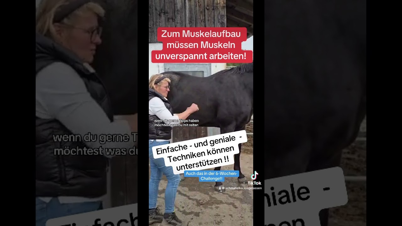 Manuelle Techniken für eine unverspannte Muskulatur? Ja, das hilft!