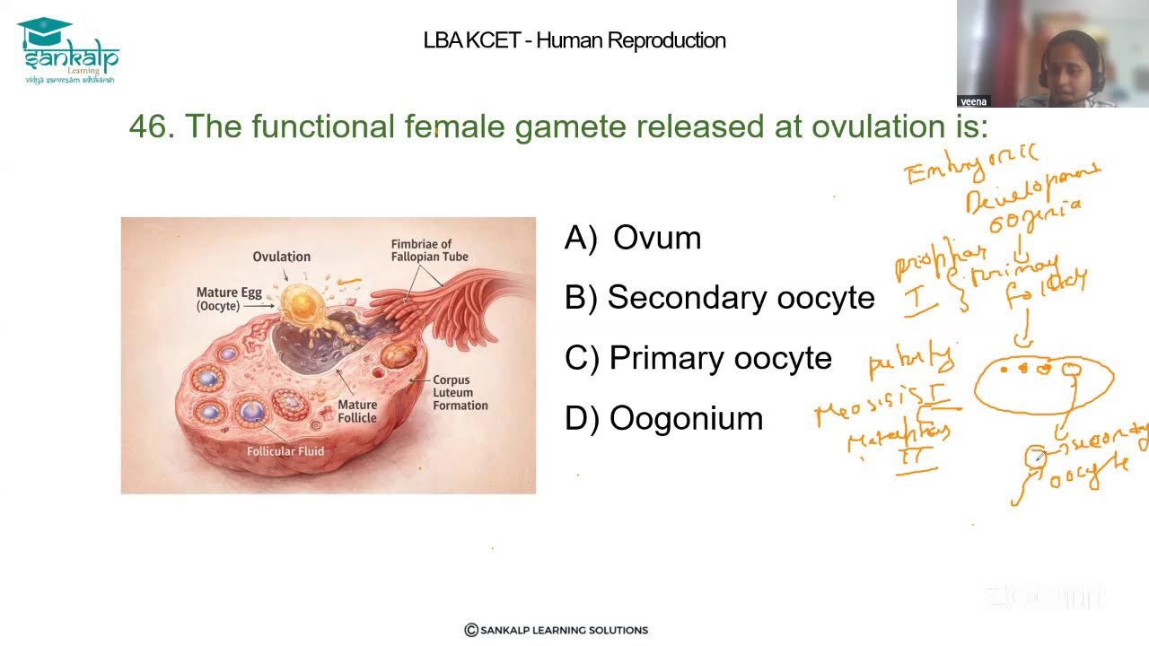 LBA-KCET-3RD SESSION  CHAPTER ,HUMAN REPRODUCTION Part 1