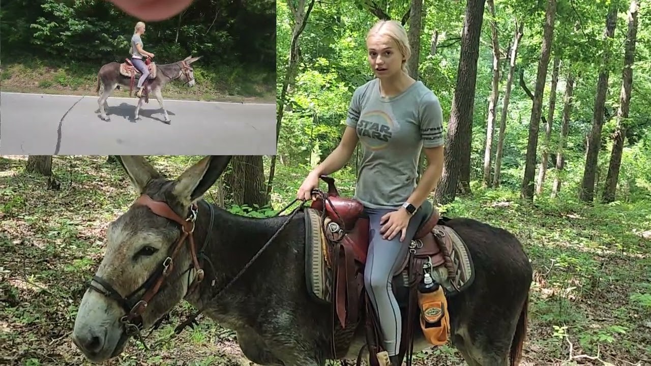 Малыш Джек в лесу