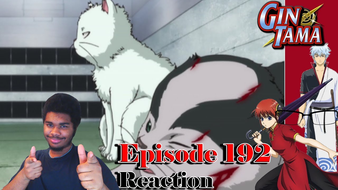 Gintama Episode 192 Reaction: Kabukicho Stray Cat Arc Part Finale