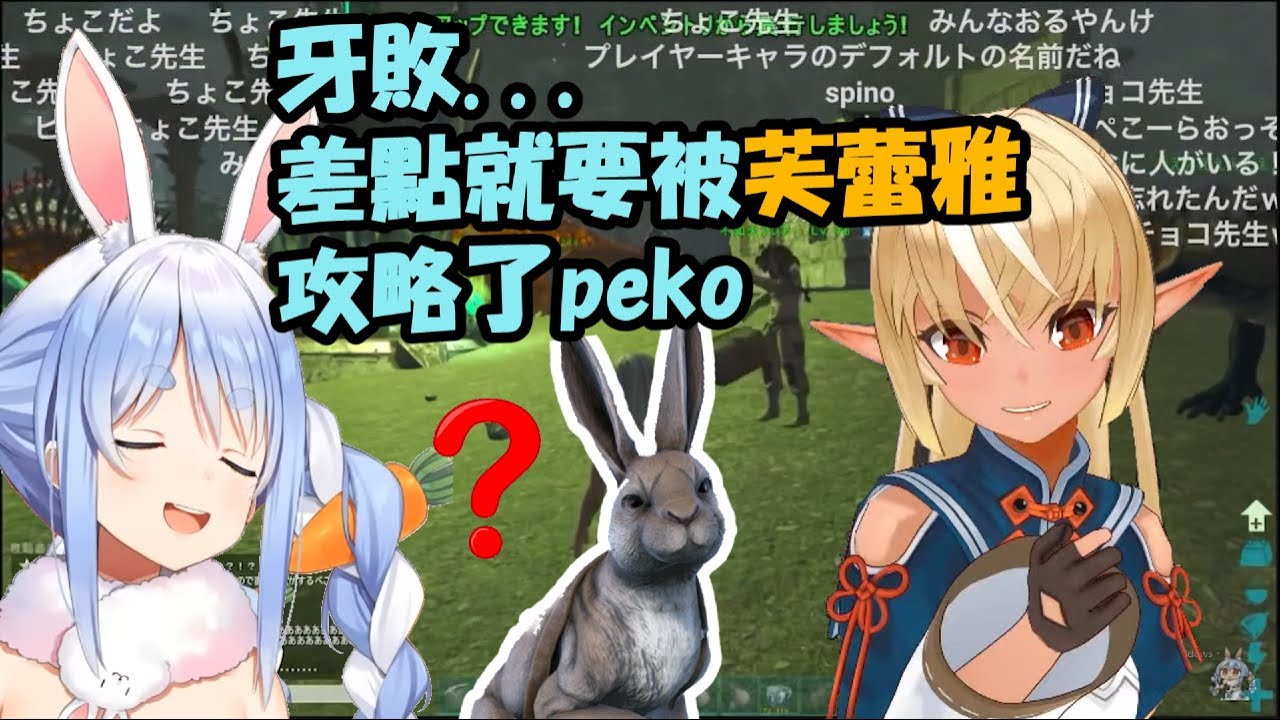 【老肉】【兔田佩克拉/不知火芙蕾雅】距離佩克拉最接近被芙蕾雅攻略的一次【Hololive/中文精華】