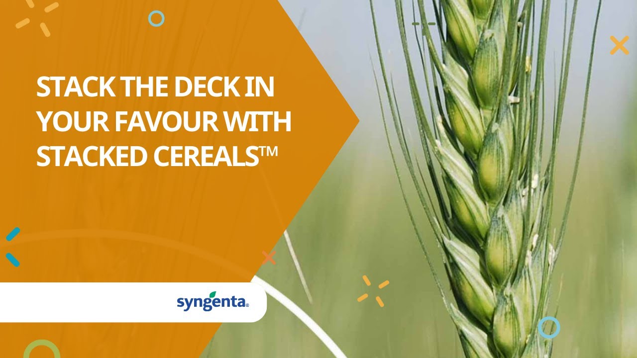 Stack the Deck in your favour with Stacked Cereals™