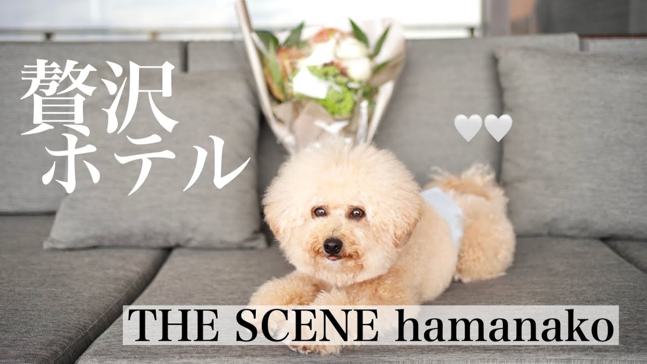 浜名湖旅行/ラグジュアリーホテルに愛犬とお泊まり