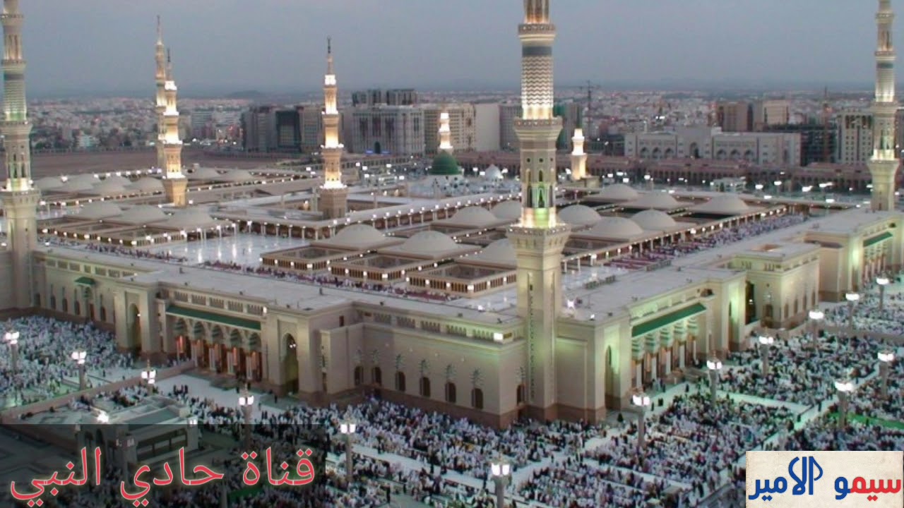 #جديد المداح ميسر الحيالي 2019 / لي طيبه يل حادي لي طيبه وشد رحال لروضه الحبيبه)