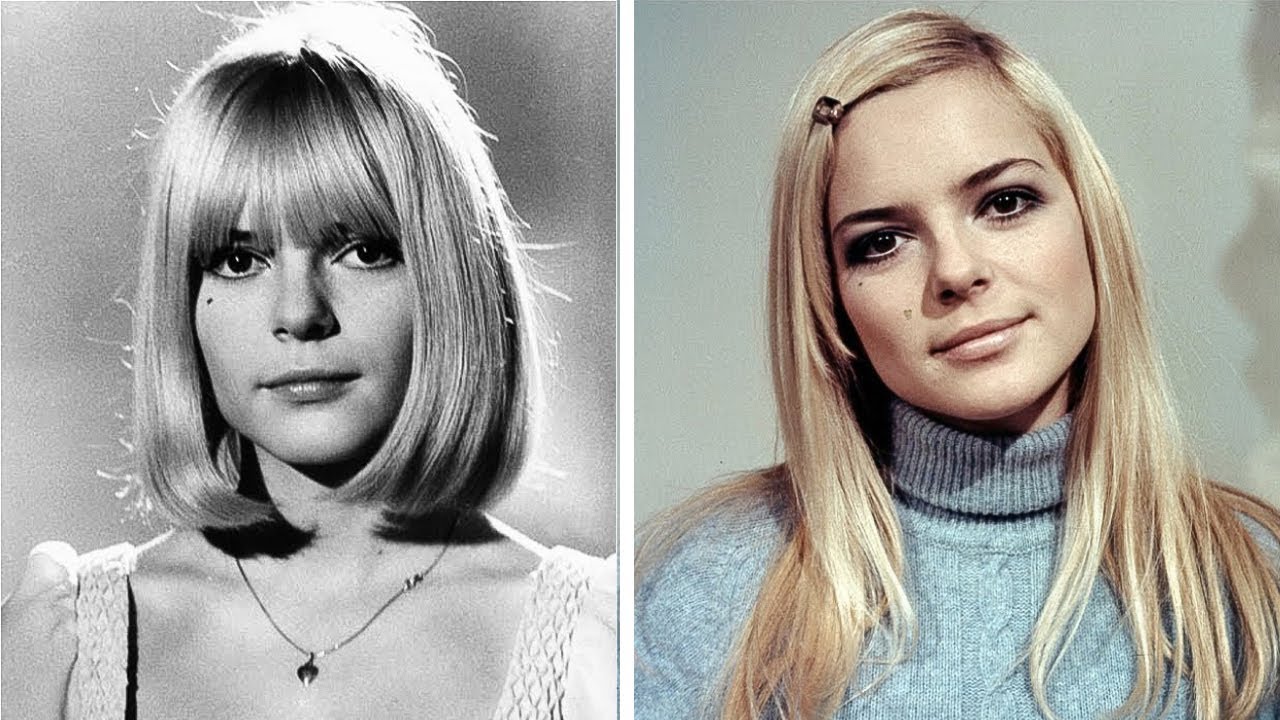 La Vie Et La Triste Fin De France Gall