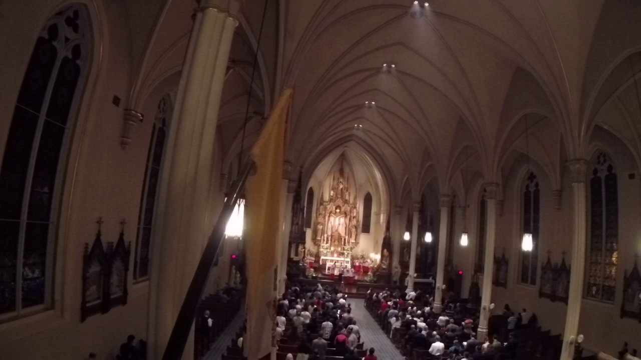 Easter Vigil 2017 - Video 2 (Gloria)