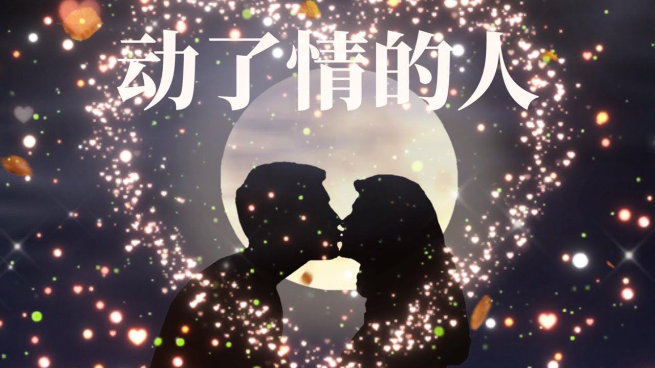 “像飞蛾扑向光辉” | 《动了情的人》🦋 | 唱给所有奋不顾身的灵魂 (含歌词)