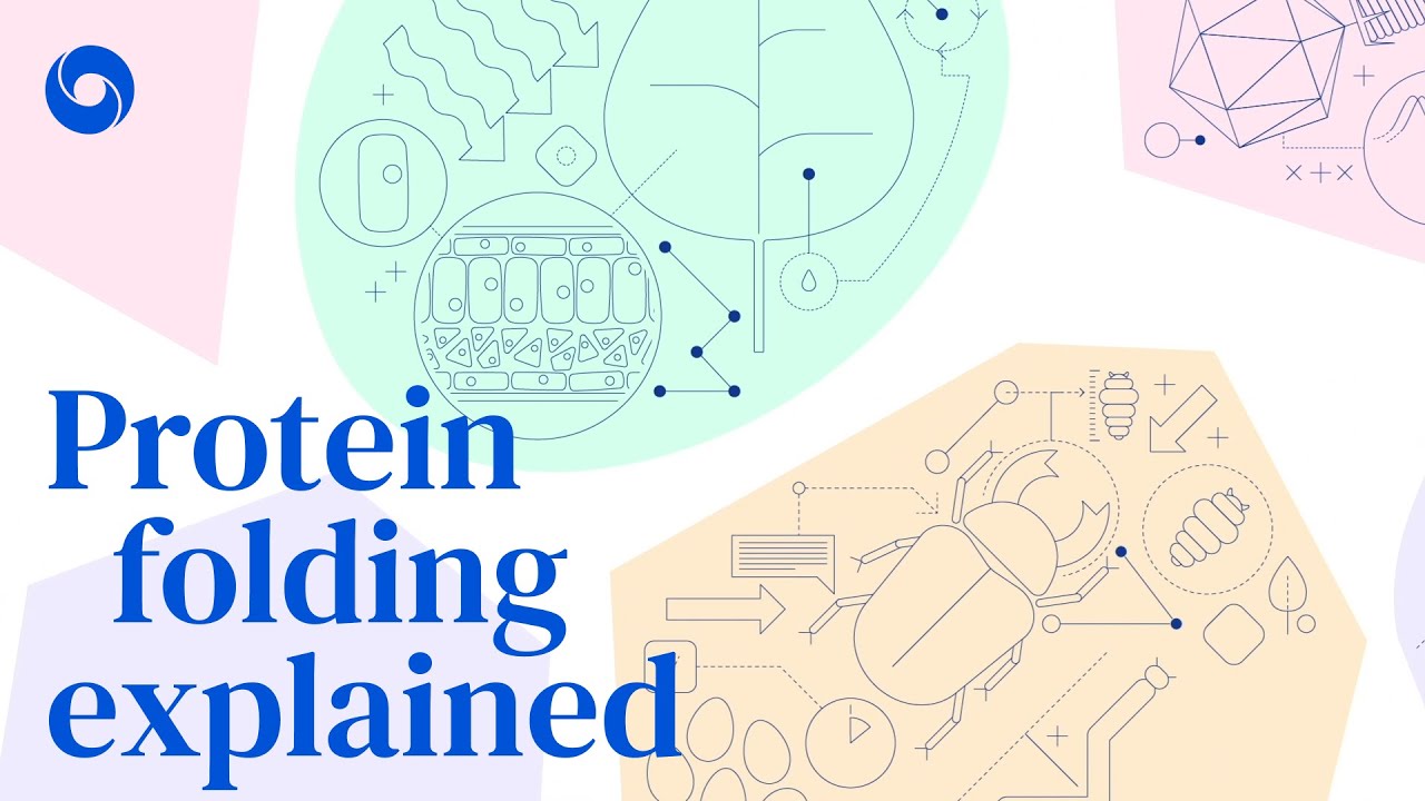 Protein folding explained