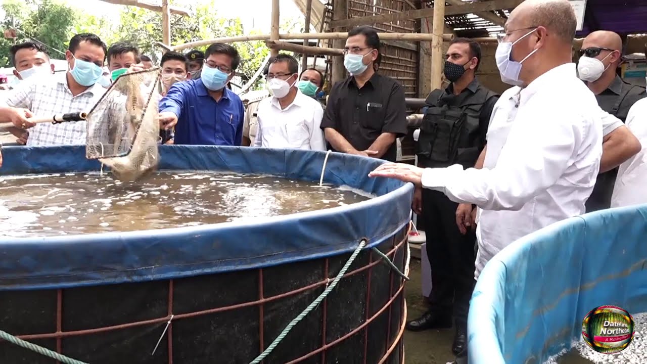 Biofloc fish farming - a game-changer for farmers in Manipur | Manipur News