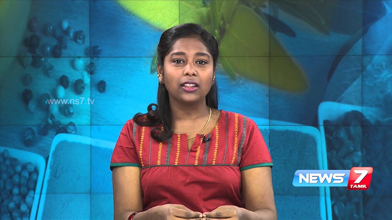 The gap between ancient tamil medicines & modern medicines 2/4 | Maiyam | News7 Tamil