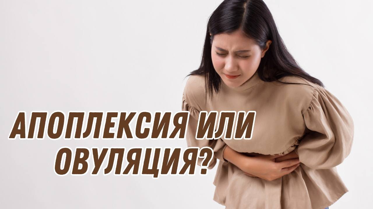 Апоплексия или овуляция? #doctorberezovska #olenaberezovska #женскоездоровье #овуляция