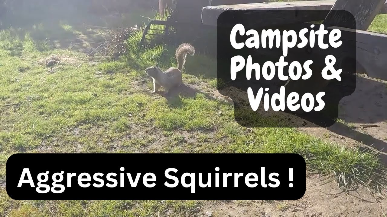 Hearst San Simeon State Park Campground Review