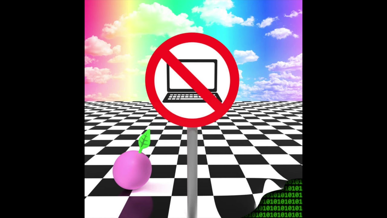 Stevia Sphere : Reality is not a computer simulation