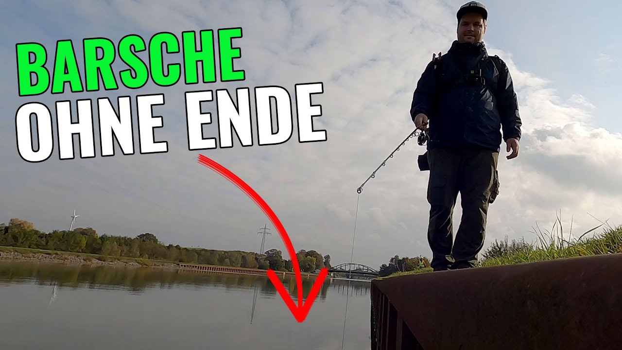Barsche ohne Ende - Vertikal an der Spundwand! || Angeln am Kanal || Pantoffel angelt