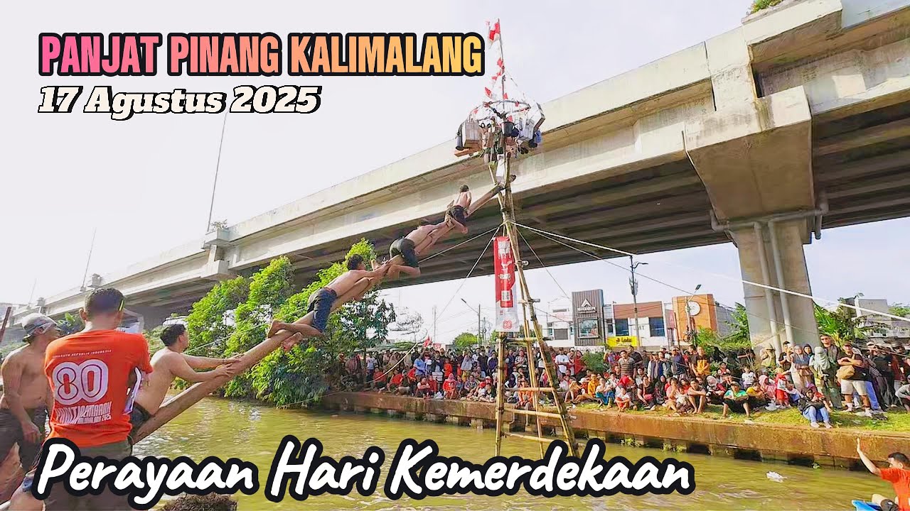 BUKAN SEKEDAR LOMBA ! PERJUANGAN DAN KERJASAMA DI PANJAT PINANG HUT RI KE 80 KALIMALANG