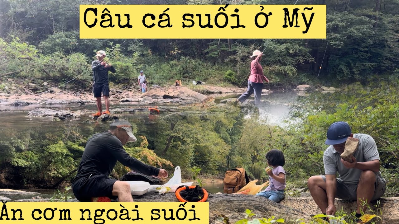 Đi Câu suối bên Mỹ cũng thật thú vị nha mọi người ~ videos câu cá nhe , cuộc sống Mỹ , video câu cá 