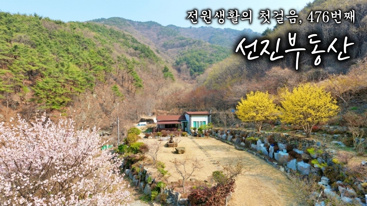 해발 230m 숨겨진 보물 같은 전원주택 매매. 319평 멋진 풍광이 있는 힐링 시골집. 선진부동산 창원. 476번